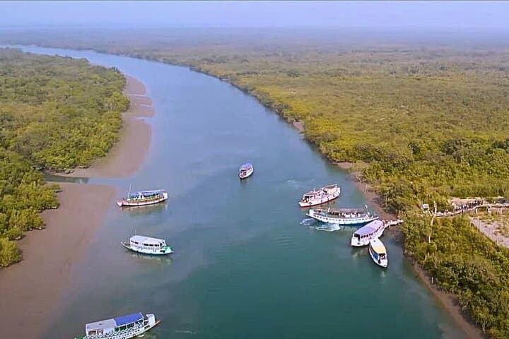 Kolkata to Sundarbans Full-Day Jungle Safari: Royal Bengal Tiger Boat Tour photo 6