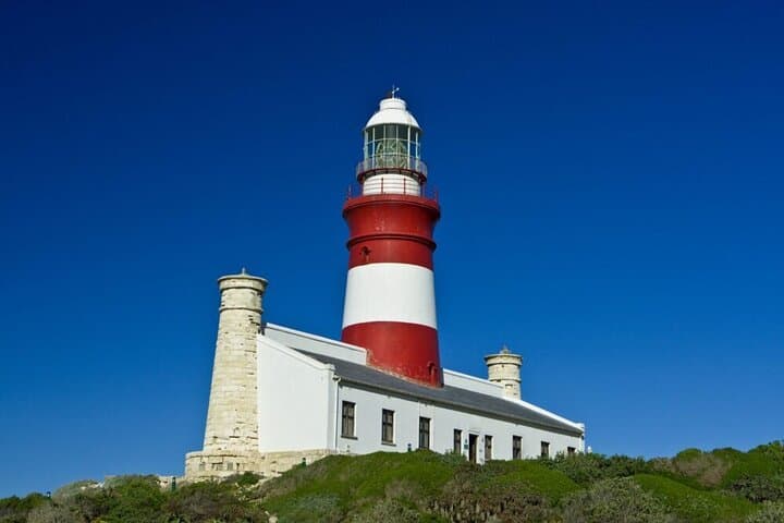 Cape Agulhas Southern Tip Discovery: Day Trip from Hermanus photo 5