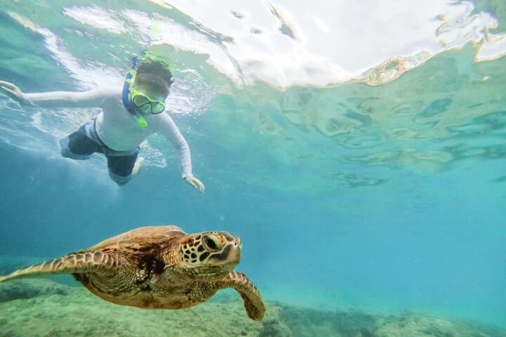 St. Thomas Half-Day Sail to Lime Out VI: Floating Tacos, Snorkel & Rum photo 5