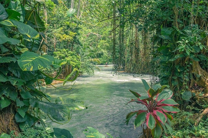 Montego Bay Private Tour: Bamboo Rafting on the White River and Blue Hole Escape photo 2