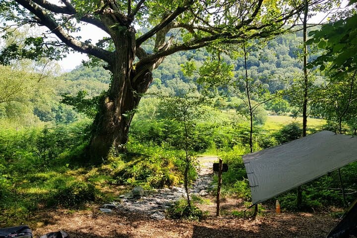 Full-Day Bushcraft Course in South West England — Shelter, Firecraft & Tool Skills photo 2