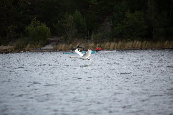 Self-Guided Kayak & Island Camping on Lake Mälaren — 2-Day All-Inclusive photo 5