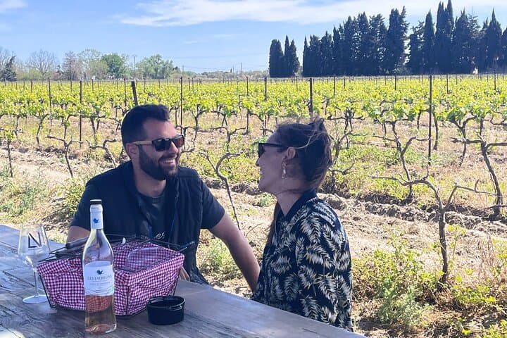 Camargue Day Trip: Flamingos, Wine & Aigues-Mortes