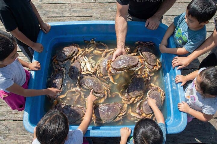 Bay Area Pier Crab Harvest: Tactical Pier Crabbing for Dinner