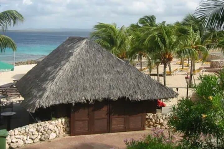 Bonaire Full-Island Shore Excursion: Salt Mountains, 1,000 Steps & Beach Relaxation photo 3