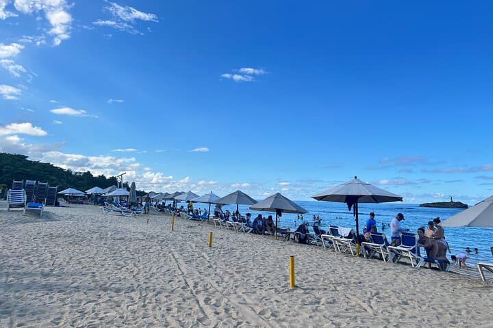 Puerto Plata Umbrella Street, Rum & Chocolate Factory Tour — City Sights and Beach Escape photo 5
