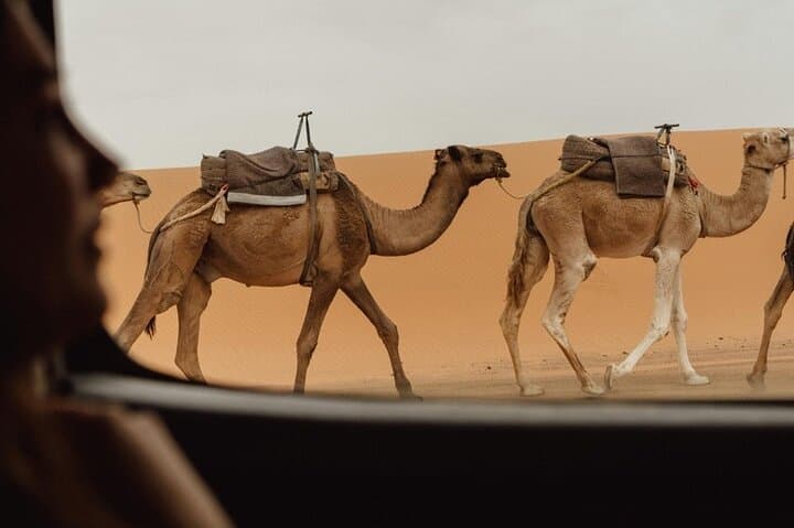 3-Day Merzouga Desert Adventure from Marrakech — Camel Trek & Sahara Camp photo 2