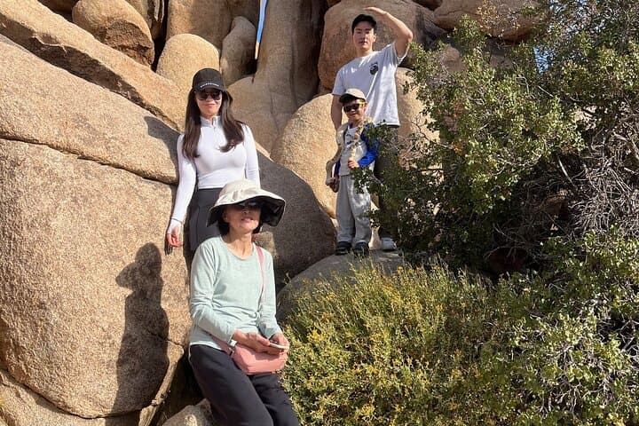 Guided Rock Scrambling in Joshua Tree: Boulder Adventures & Desert Views photo 2