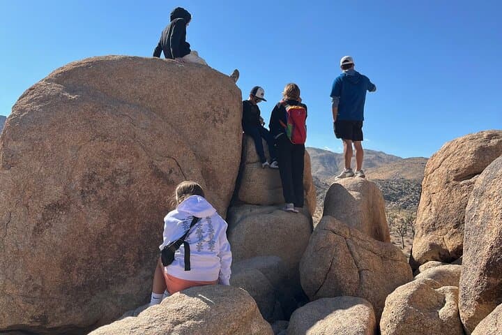 Guided Rock Scrambling in Joshua Tree: Boulder Adventures & Desert Views photo 3