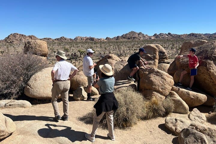 Guided Rock Scrambling in Joshua Tree: Boulder Adventures & Desert Views photo 5