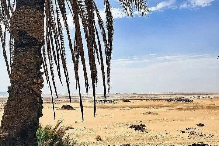 3-Day Bahariya Oasis & White Desert Adventure From Cairo photo 2