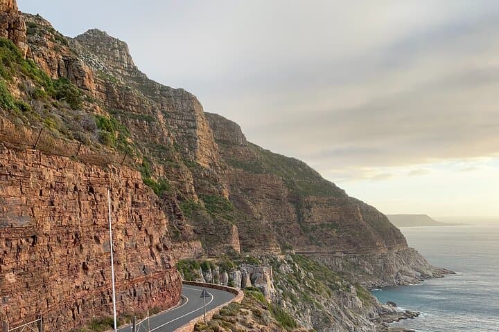 Cape Peninsula All-Inclusive Private Tour — Table Mountain to Cape Point photo 2
