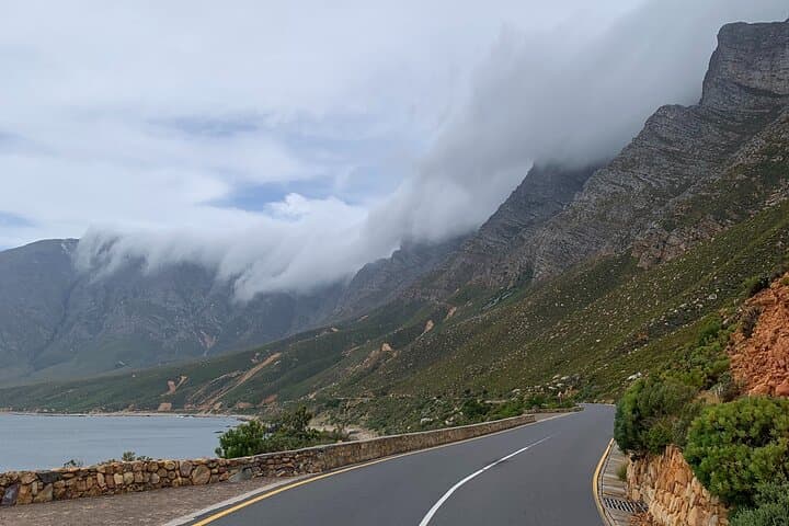Cape Peninsula All-Inclusive Private Tour — Table Mountain to Cape Point photo 3