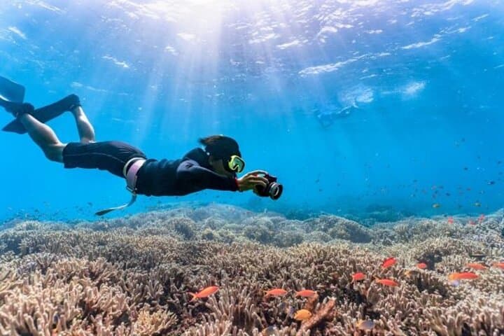 Blue Cave Free Diving Adventure — Guided Snorkel with Complimentary GoPro Photos in Onna, Okinawa