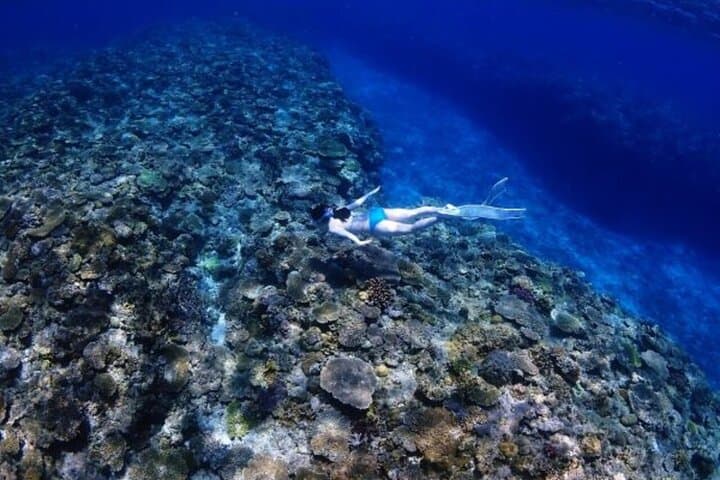 Blue Cave Free Diving Adventure — Guided Snorkel with Complimentary GoPro Photos in Onna, Okinawa photo 3