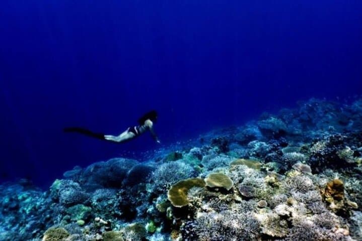 Blue Cave Free Diving Adventure — Guided Snorkel with Complimentary GoPro Photos in Onna, Okinawa photo 4