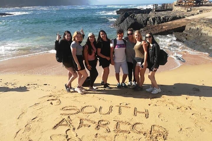 Cape Peninsula All-Inclusive Private Tour — Table Mountain to Cape Point photo 4