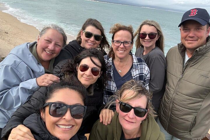 Cape Peninsula All-Inclusive Private Tour — Table Mountain to Cape Point photo 5