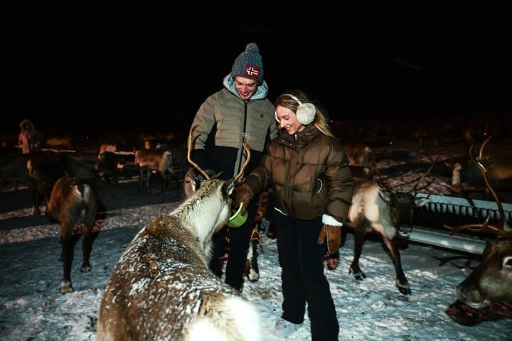 Reindeer Camp Dinner & Sami Culture Near Tromsø — Dinner, Joik, and Aurora Hunting photo 5