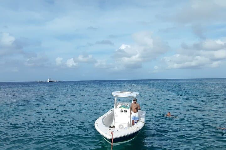 Private Boat Snorkeling with Sea Turtles in Aruba: A Local Charter Guide photo 3