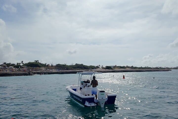 Private Boat Snorkeling with Sea Turtles in Aruba: A Local Charter Guide photo 5
