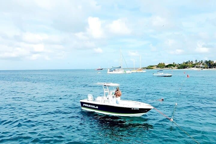 Private Boat Snorkeling with Sea Turtles in Aruba: A Local Charter Guide