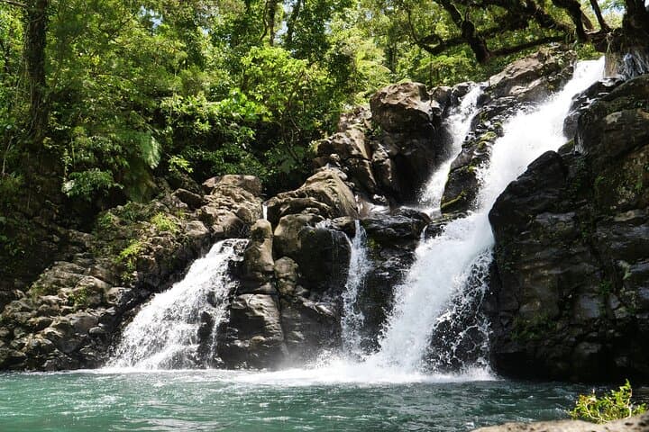 Colo-i-Suva Rainforest Escape: Private Shore Tour from Suva Port photo 2