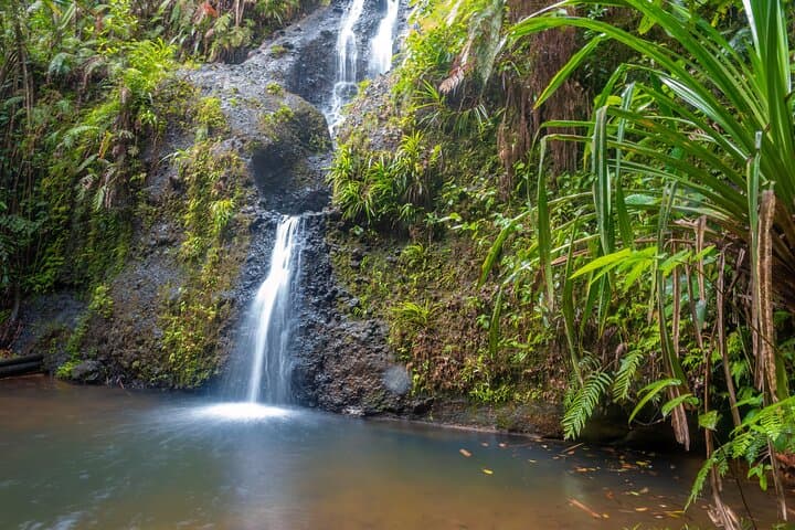 Colo-i-Suva Rainforest Escape: Private Shore Tour from Suva Port photo 6