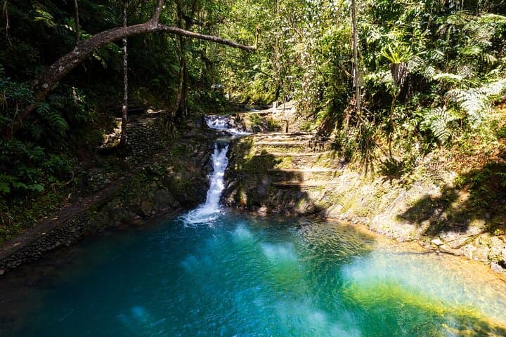 Colo-i-Suva Rainforest Escape: Private Shore Tour from Suva Port