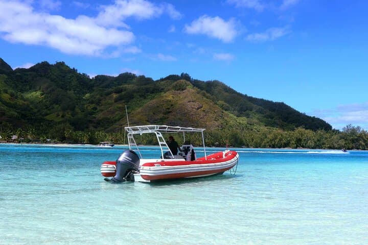 Half-Day Whale Watching in Moorea — Animal-Friendly Small-Group Cruise photo 2