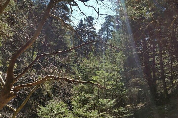 Hike to Zeus' Throne — Pavliani & Oeta National Park Day Hike from Athens photo 5