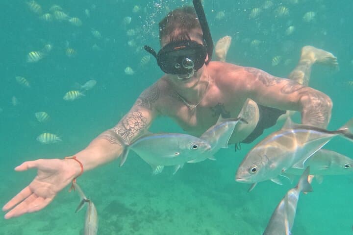 Punta Cana Speedboat Adventure: Snorkeling, Dolphin Views & Natural Pool photo 3