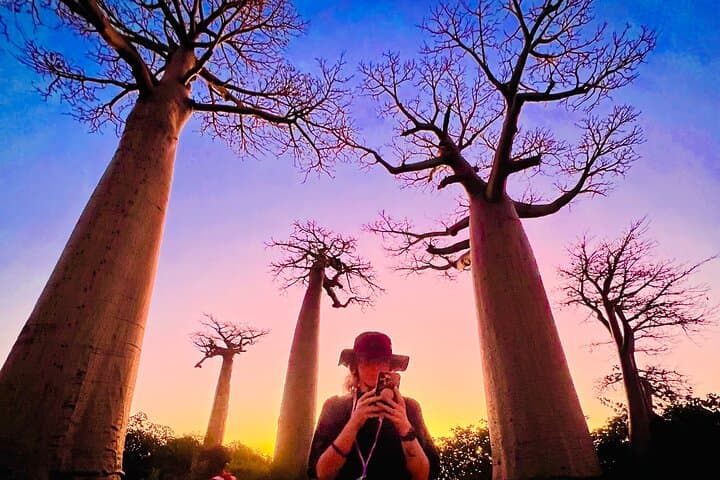 6-Day Madagascar: Rainforest Lemurs, Baobab Sunsets & Highland Villages photo 2