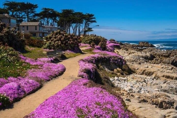 Private Big Sur and Carmel Scenic Drive from San Jose — Bixby Bridge, 17-Mile Drive & Monterey