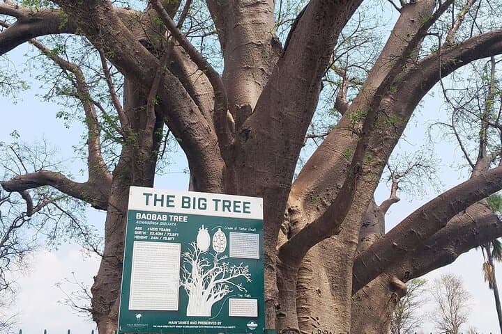 Guided Victoria Falls Tour with Local Tonga Guide — Mosi-oa-Tunya Insights photo 4
