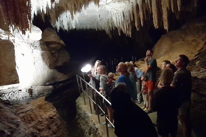 Northland Glowworm Cave and Coastal Day Tour from Auckland photo 5