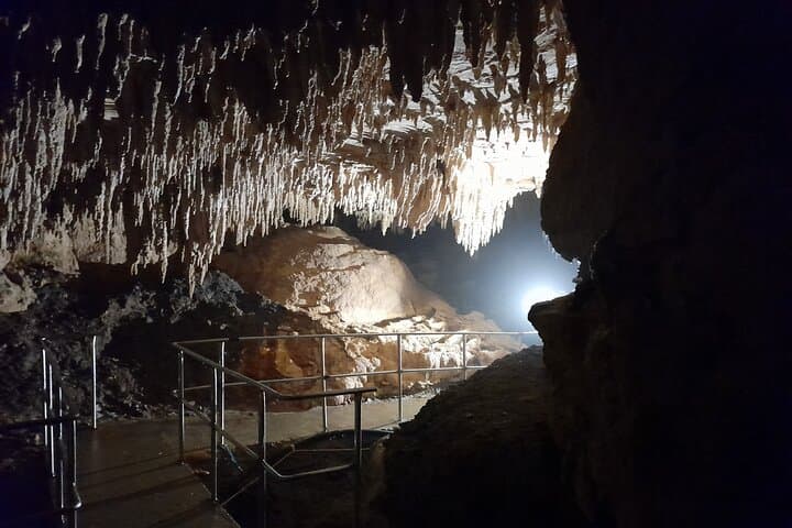 Northland Glowworm Cave and Coastal Day Tour from Auckland photo 6