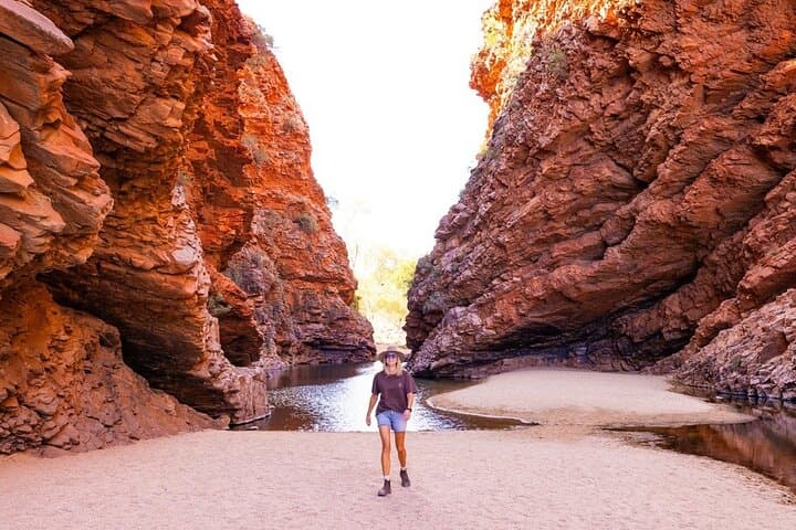 3-Day Kings Canyon & West MacDonnell Ranges 4WD Camping & Hiking Tour photo 3