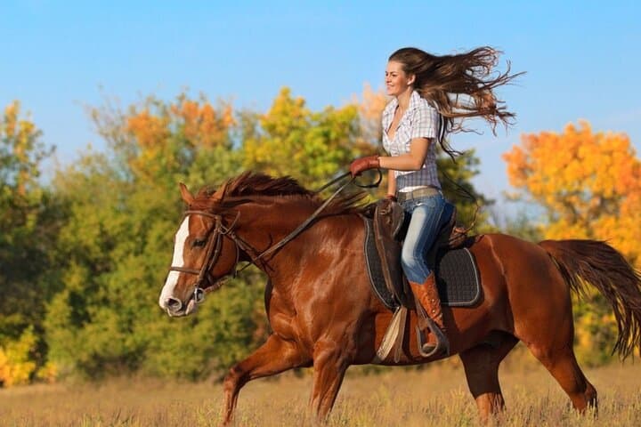 Guided Horseback Riding in Miami Countryside: Scenic Ranch Trails & Beginner-Friendly Rides
