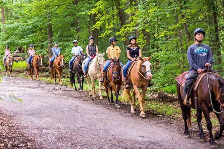 Guided Horseback Riding in Miami Countryside: Scenic Ranch Trails & Beginner-Friendly Rides photo 5
