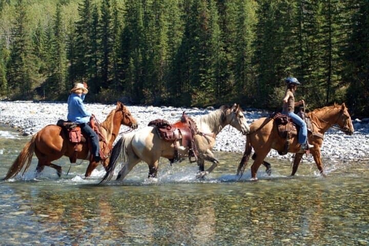 Guided Horseback Riding in Miami Countryside: Scenic Ranch Trails & Beginner-Friendly Rides photo 6