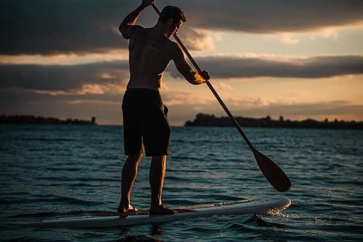 Antigua E-Paddle Boarding Tour from Cruise Ship — Snorkel, Beach Lunch & English Harbor