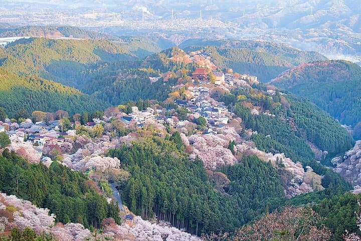 Hike Yoshinoyama: Historic Cherry-Tree Trails of Mount Yoshino photo 1