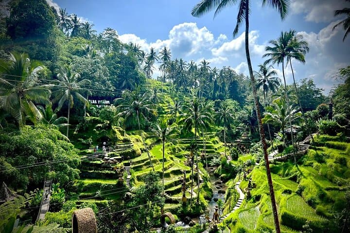 Alas Harum Zipline & Ulu Petanu Waterfall — Ubud Full-Day Adventure photo 4