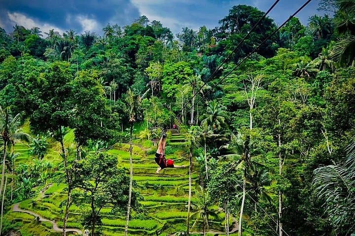 Alas Harum Zipline & Ulu Petanu Waterfall — Ubud Full-Day Adventure photo 3