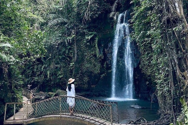 Alas Harum Zipline & Ulu Petanu Waterfall — Ubud Full-Day Adventure photo 5