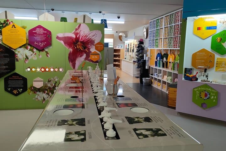 Taste Hawke's Bay: Sweet Treat Food Tour from Napier photo 4