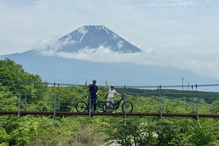 Explore Mt. Fuji's Quiet Side: Full-Day E-Bike Nature Tour from Fujinomiya photo 4