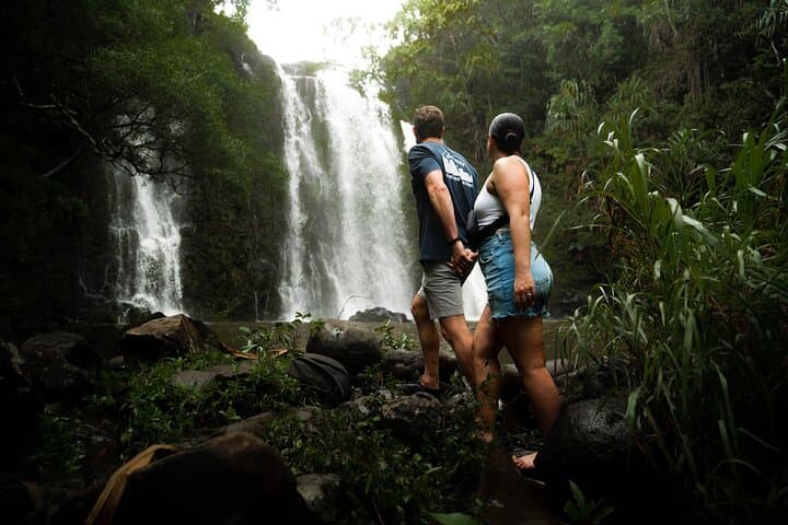 Private Hana Jungle Waterfall Hike with Optional Professional Photos