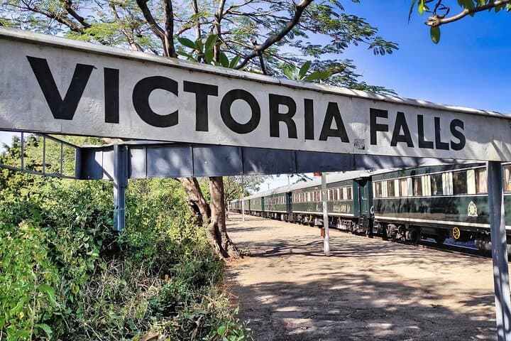 Baobab Sunrise, Sunset & Moonlight Safaris at Victoria Falls — Small-Group Wildlife Drives photo 4